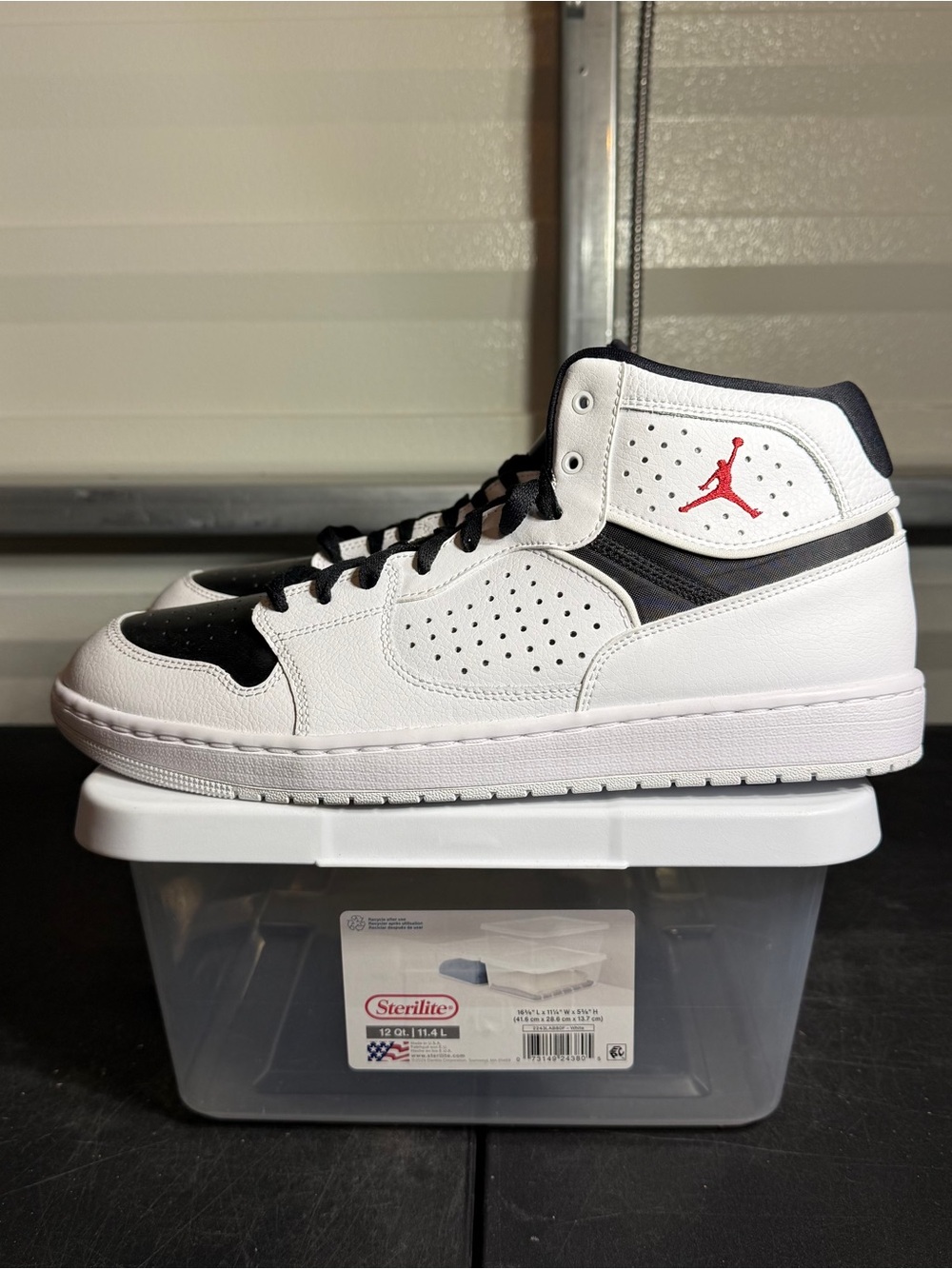 Size 12 - Air Jordan Access White Black